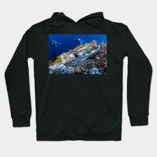 Turtle Under the Ocean Hoodie